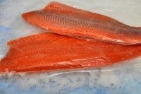 SALMON FILLET(Salmo Salar) in VACUUM or GLAZED