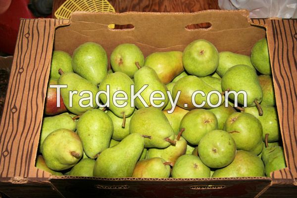 Fresh Pear , Sweet Pears