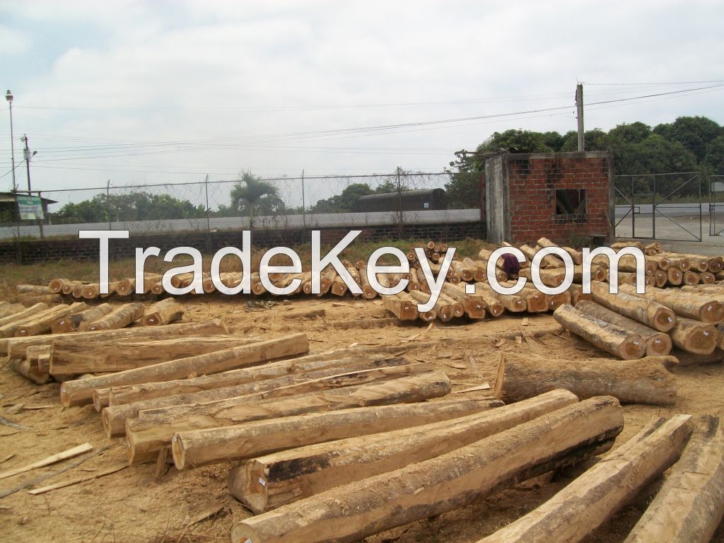 TEAK LOGS