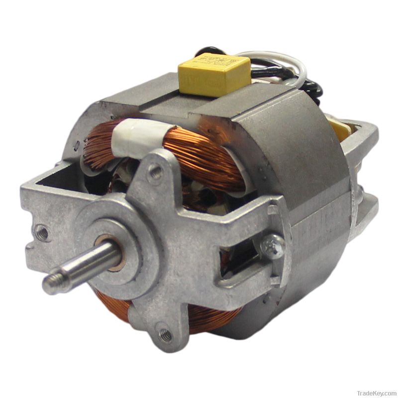 Universal ac motor