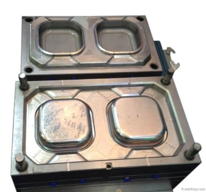 plastic injection mould for thin wall