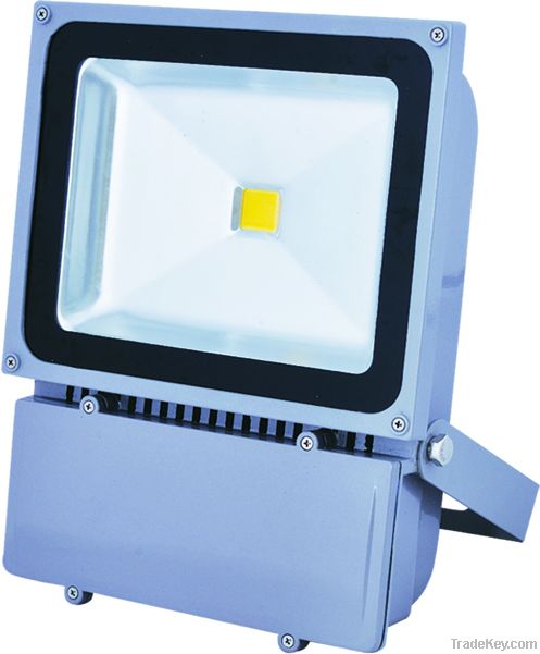 led floodlamp