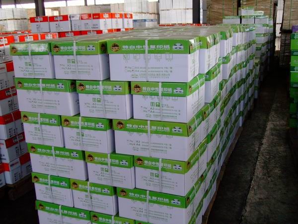 White Pure Wood Pulp Copy Paper A4 80 Gsm