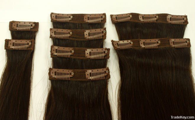 Hair clip extensions