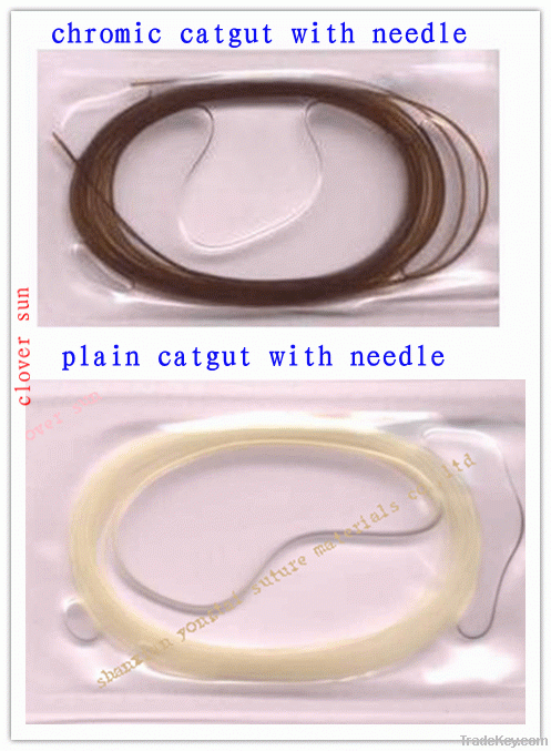 plain catgut suture and chromic catgut suture with needle