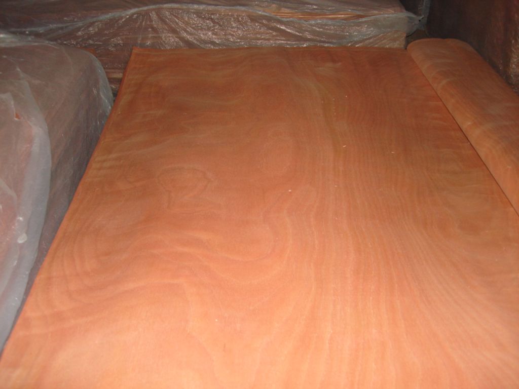 Rotary Cut okoume Veneer