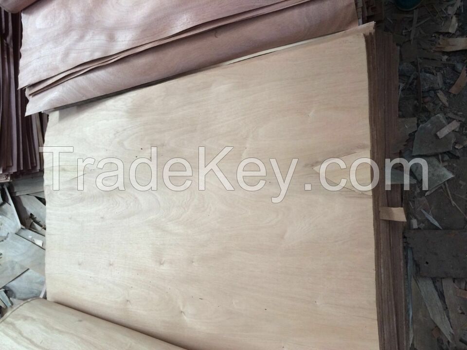 birch Veneer