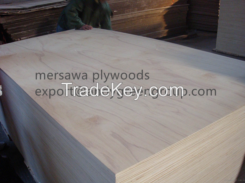 Birch Plywood