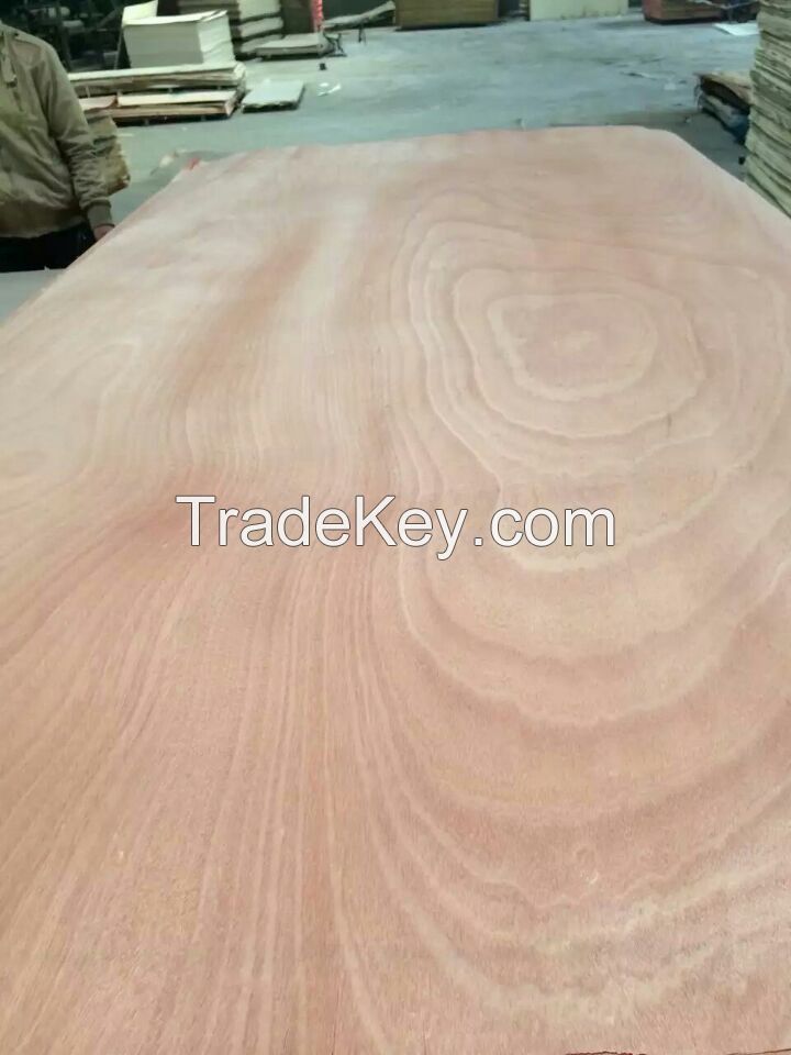 Okoume Veneer