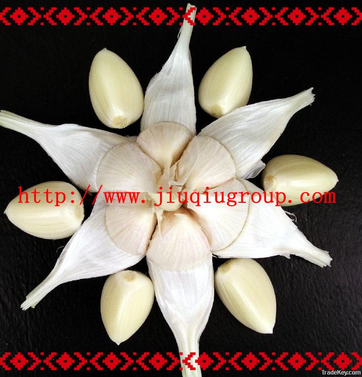 normal white garlic