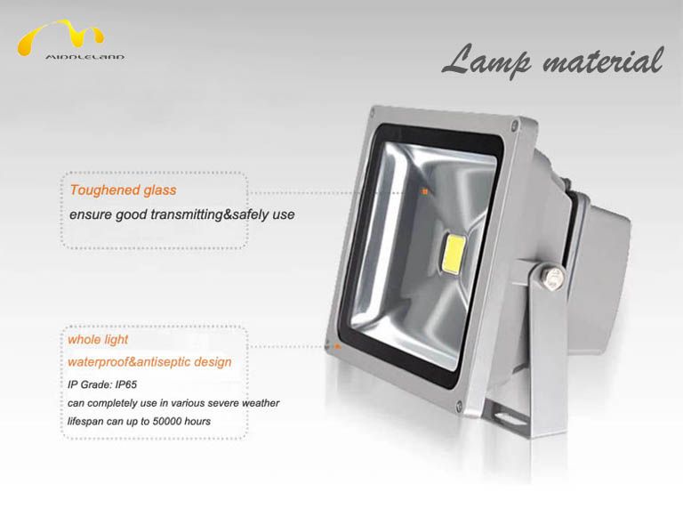 LED Flood light