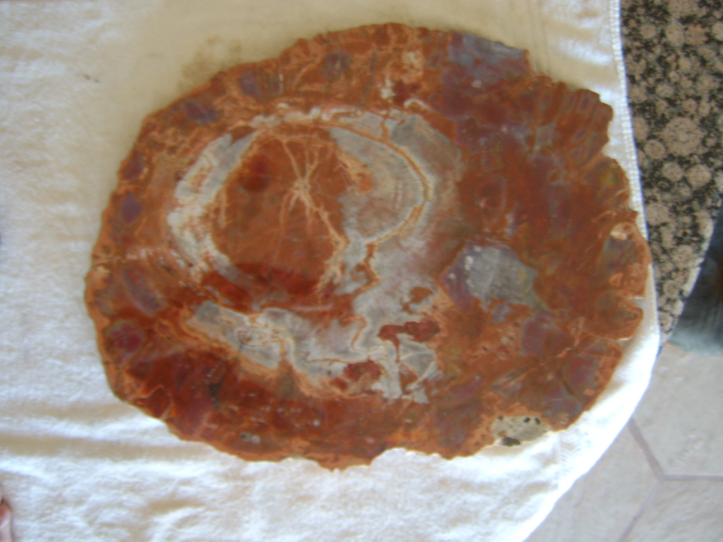 Arizona's Petrified Wood & Rainbow Sandstone