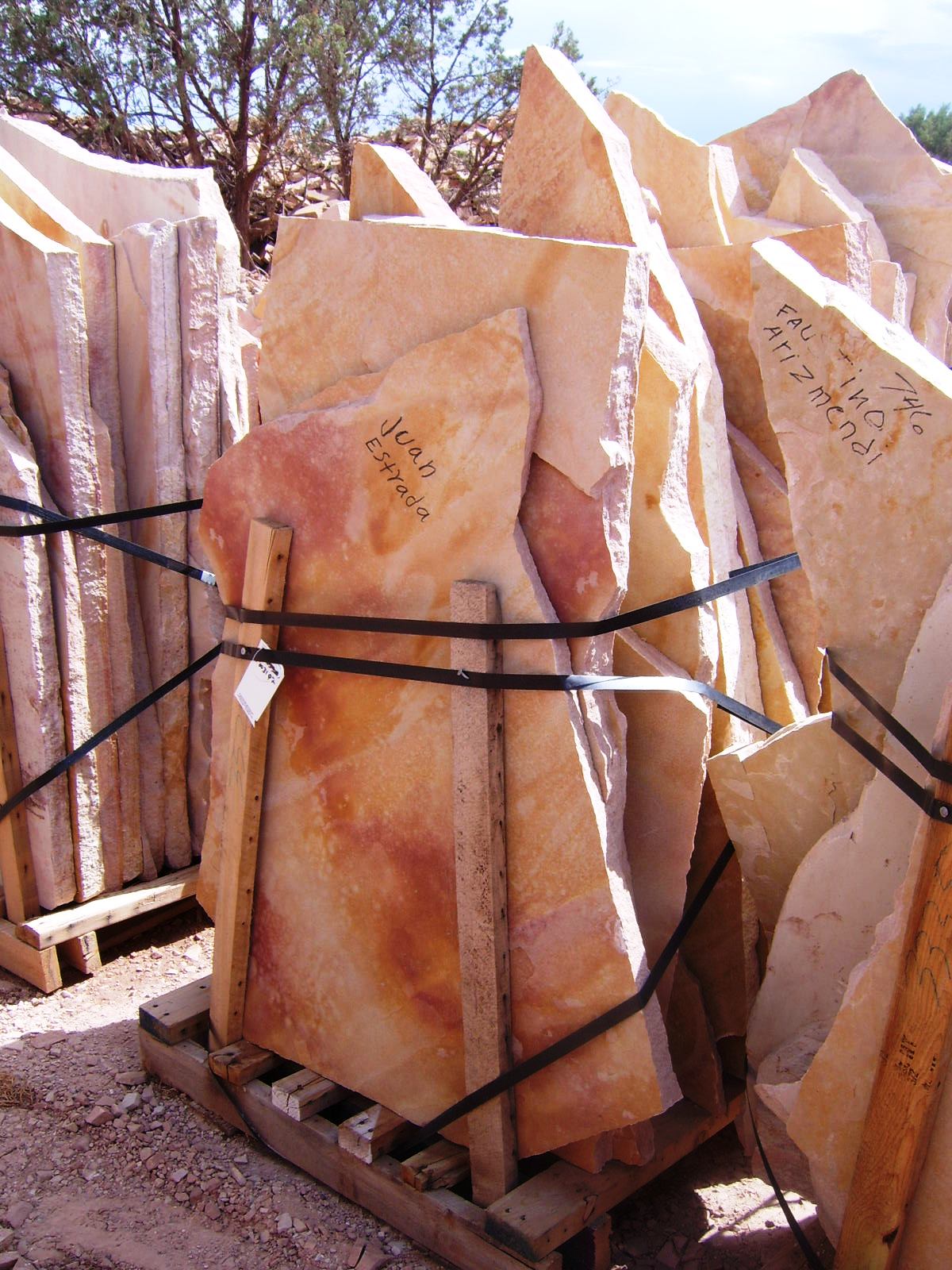 Arizona's Petrified Wood & Rainbow Sandstone