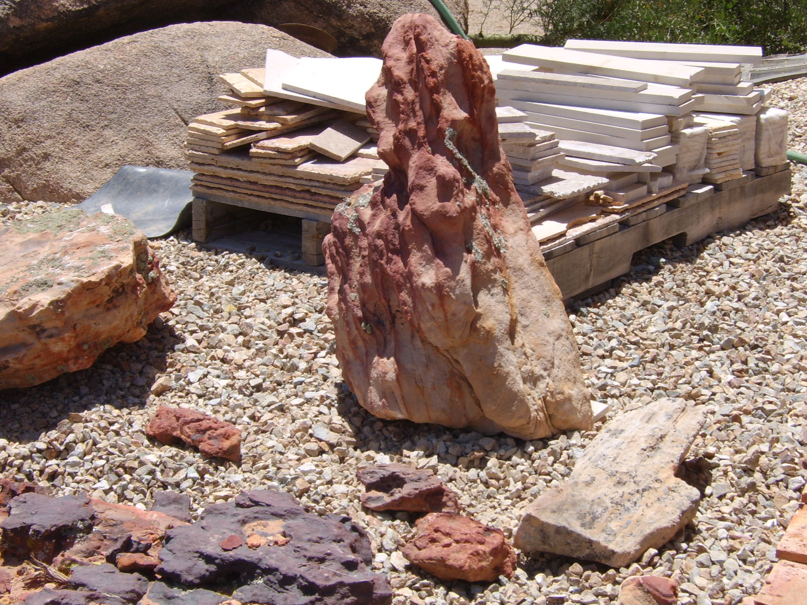 Arizona's Petrified Wood & Rainbow Sandstone