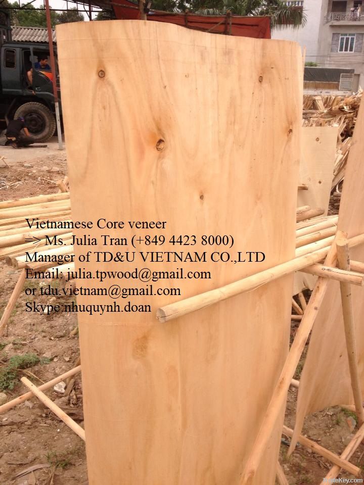 Vietnamese Eucalyptus core veneer