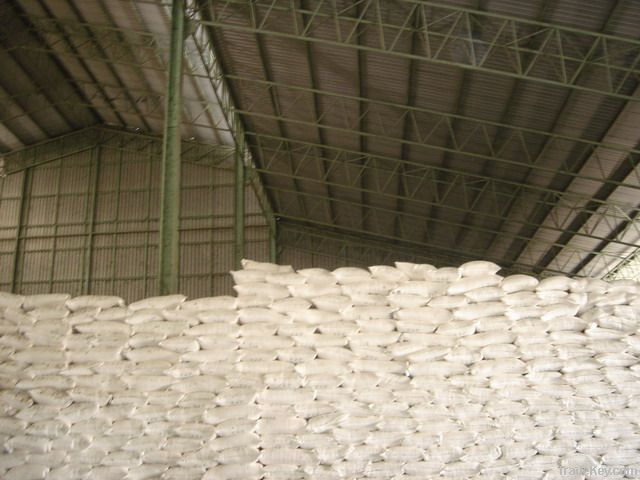 Best Price Tapioca Starch in Vietnam