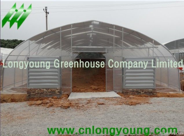 Economical Tunnel Greenhouse