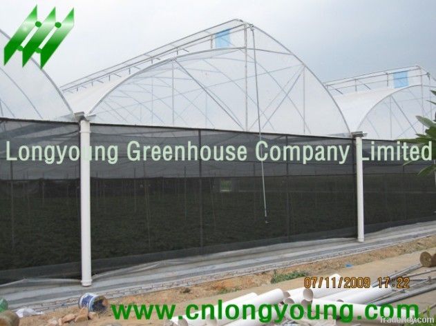 Saw Tooth Greenhouse