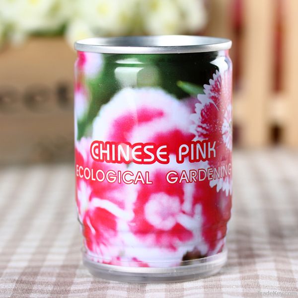 mini flower in a can with chinese pink
