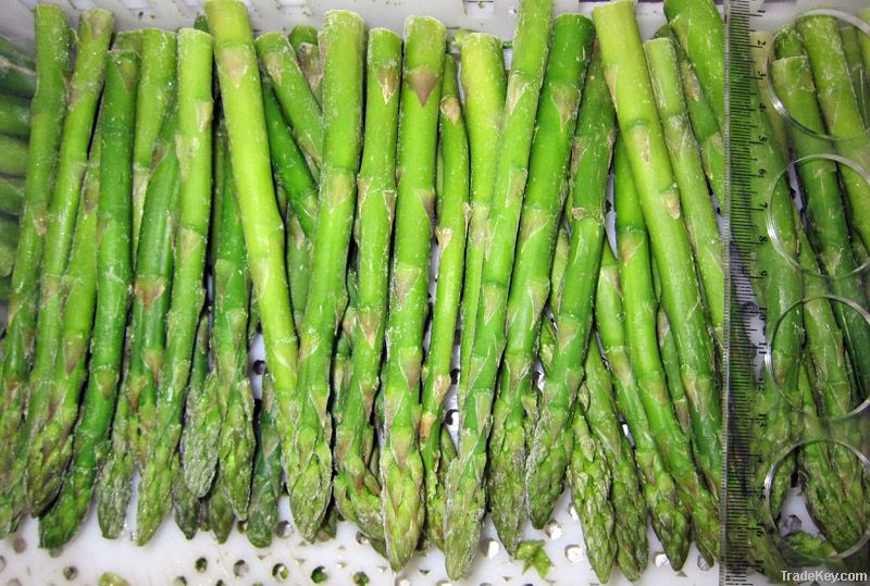 new crop frozen green asparagus