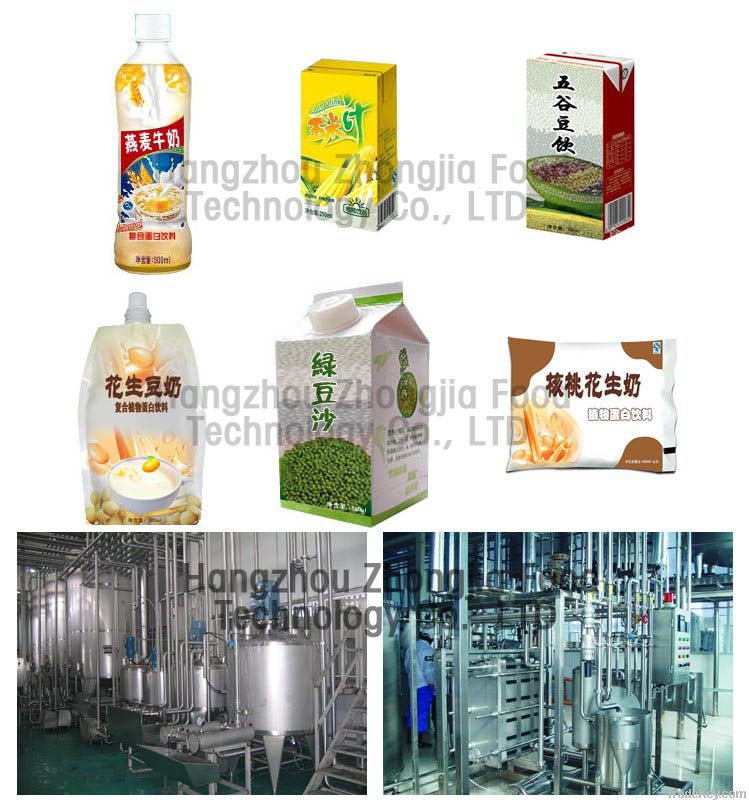 Peanut milk technology & equipment