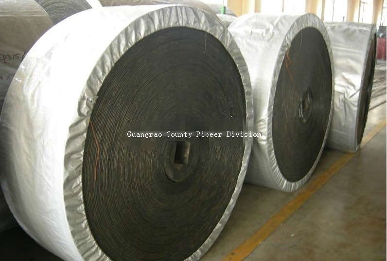 Ep (Polyester/Nylon) Piw Conveyor Belt