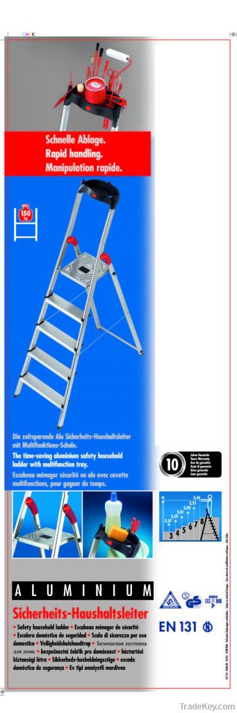Aluminum Ladder With Tooling Tray