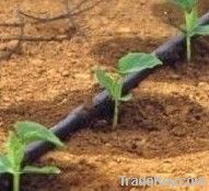 Drip irrigation tepe