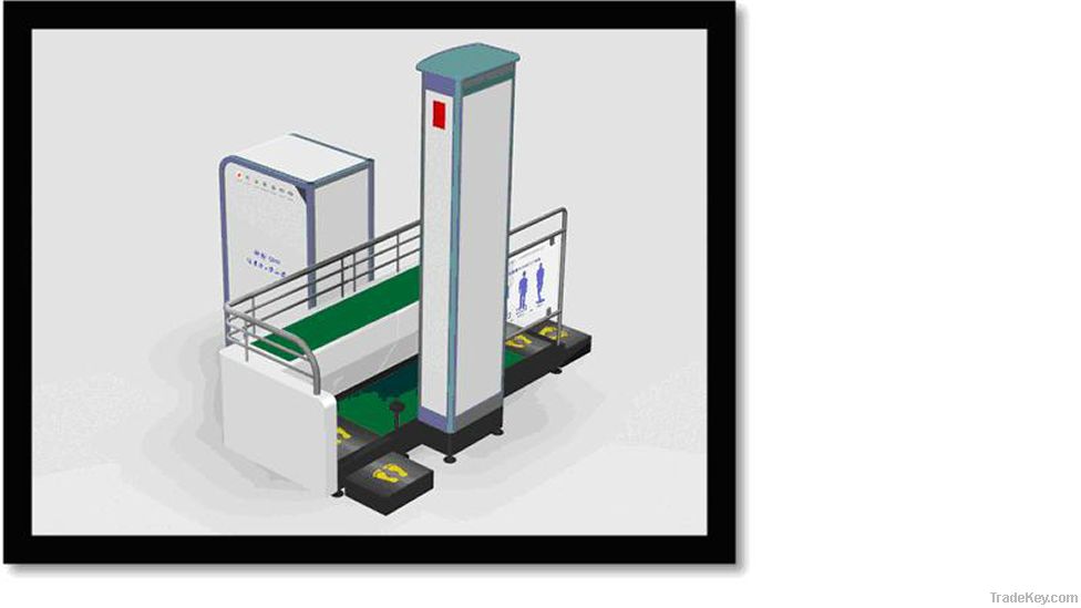 Body and baggage double channel security detector