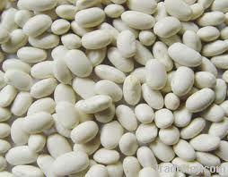Flax Seeds|Sunflower Seed| Kidney Bean| Cashew Nuts|Peanuts|Groundnuts