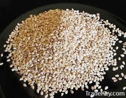 Flax Seeds|Sunflower Seed| Kidney Bean| Cashew Nuts|Peanuts|Groundnuts