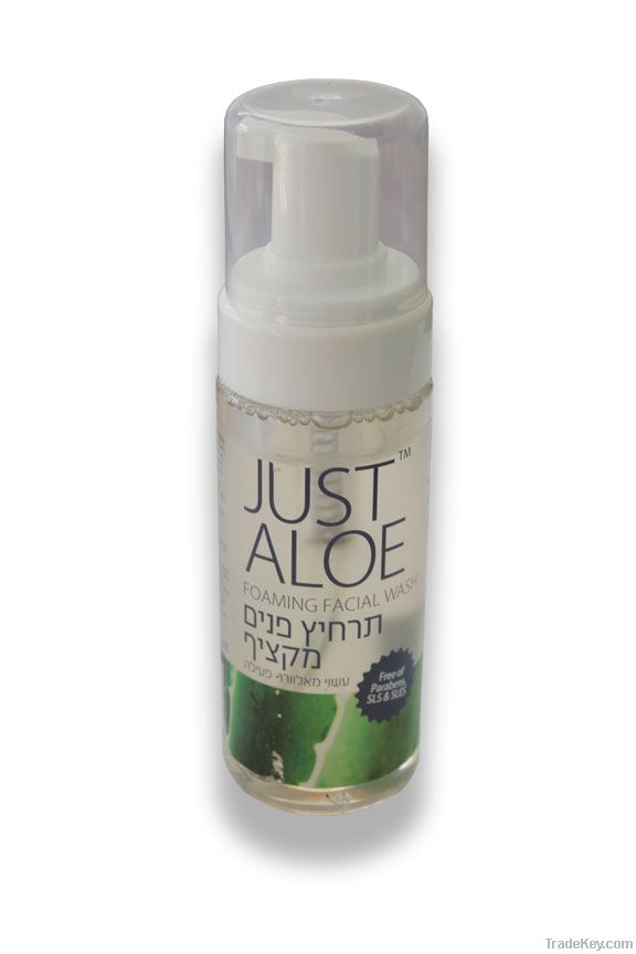 Just Aloe foam Cleanser