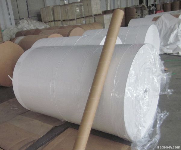 Aolisiding International Trading Co., LTD.