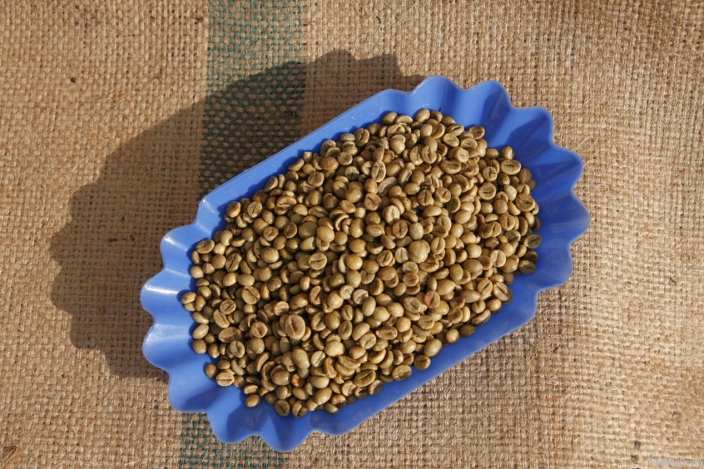 Export Robusta Coffee Beans,Robusta Coffee Bean Importer,Robusta Coffee Beans Buyer,Buy Robusta Coffee Beans,Robusta Coffee Bean Wholesaler,Robusta Coffee Bean Manufacturer,Best Robusta Coffee Bean Exporter,Low Price Robusta Coffee Beans,Best Quality Robu