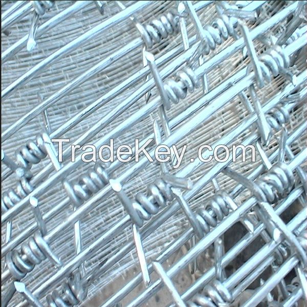 Security Galvanized Barbed Wire for Fence