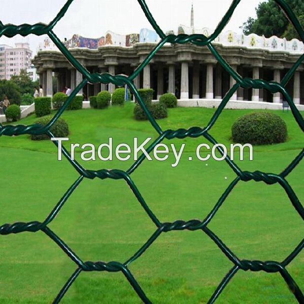 Galvanized Chicken Wire Mesh / Hexagonal Wire Mesh