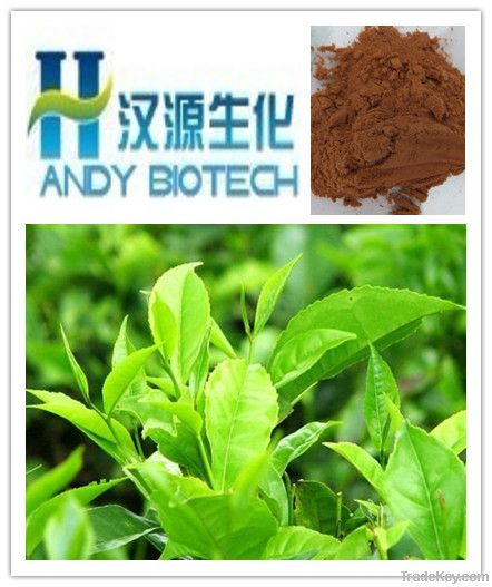 high quality green tea extract