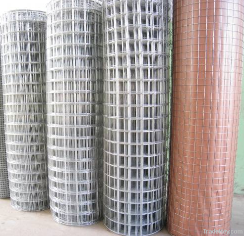 Welded Wire Mesh