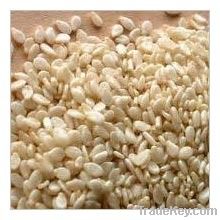 White Sesame Seeds