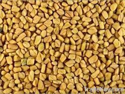 Fenugreek Seeds