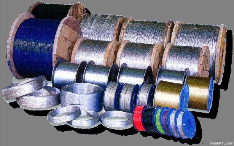 Galvanized/Stainless/PVC Coating Steel Wire Rope