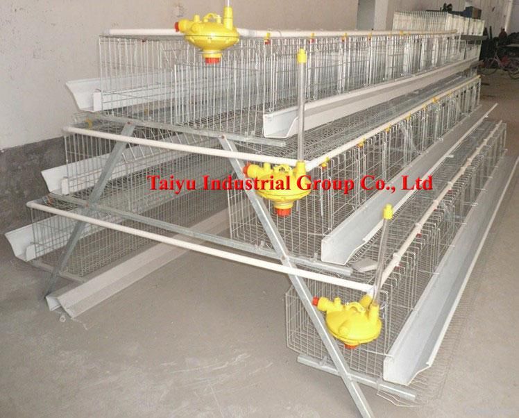 TAIYU Chicken Layer Cages ( welcome to visit our abroad farm sample )