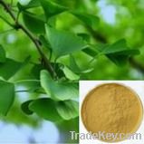 Ginkgo Biloba Leaf Extract;Belladonna Extract;Natural Plant Extracts