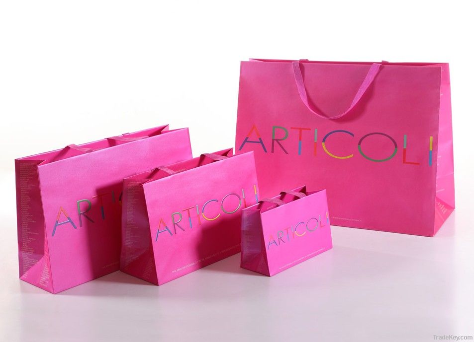 Luxury Art Paper Bags