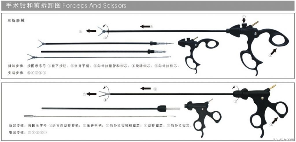 Forceps and scissors