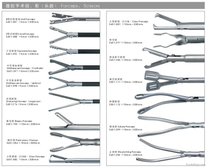 Forceps, scissors(head)