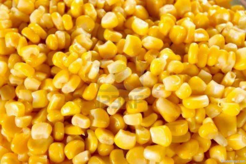 Yellow Corn