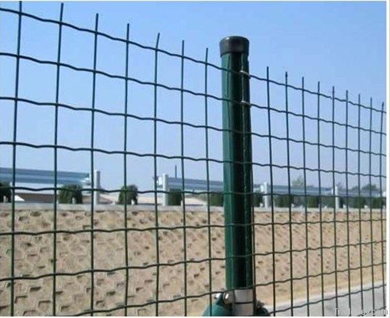 hot sale holland welded wire mesh