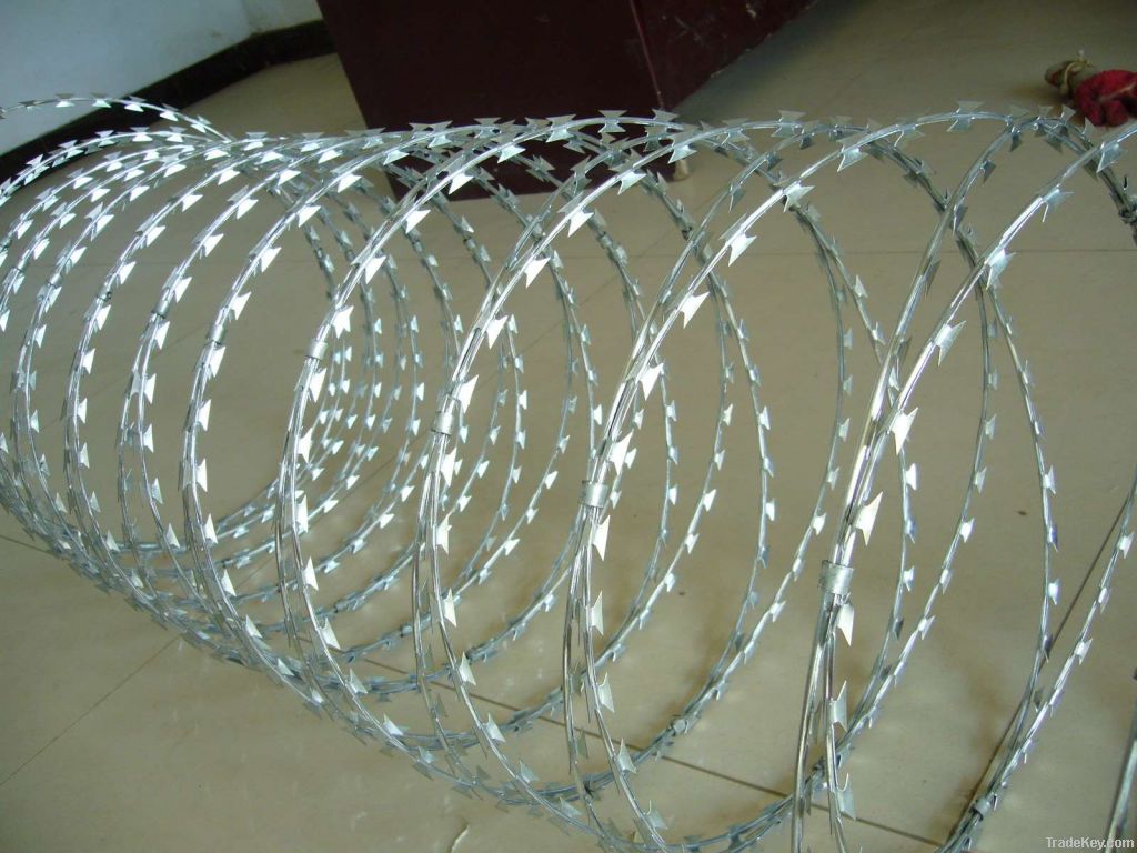 galvanized razor barbed wire