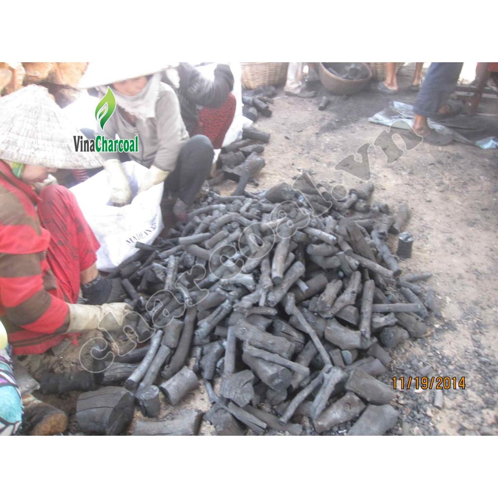 Natural Longan wood charcoal high quality and easy buring for restaurant BBQ and shisha